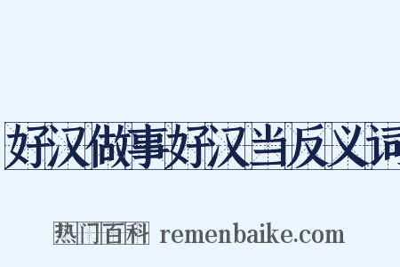 好汉做事好汉当反义词是什么意思的图片